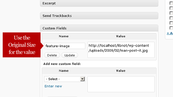 custom-fields custom-fields