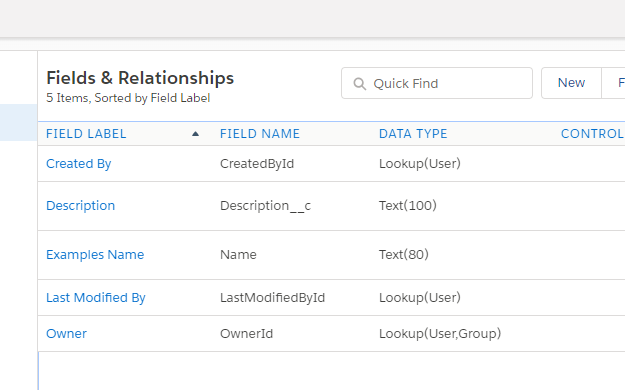 salesforce - custom obj