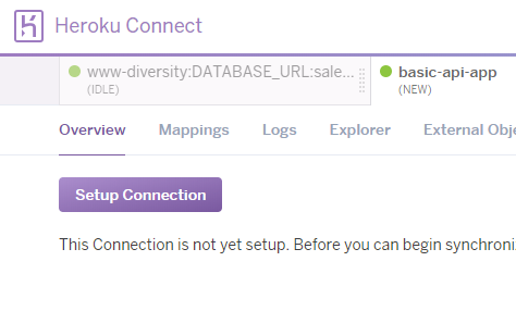 setup connection